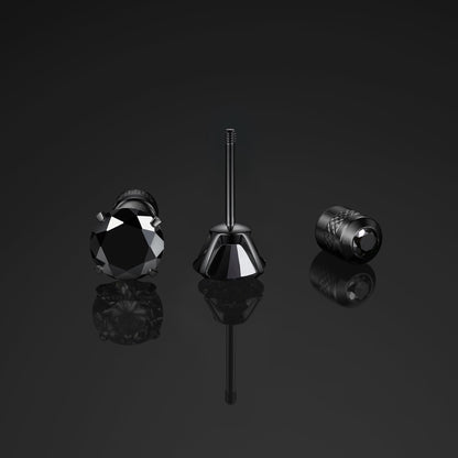 Titanium Screw Back Earrings