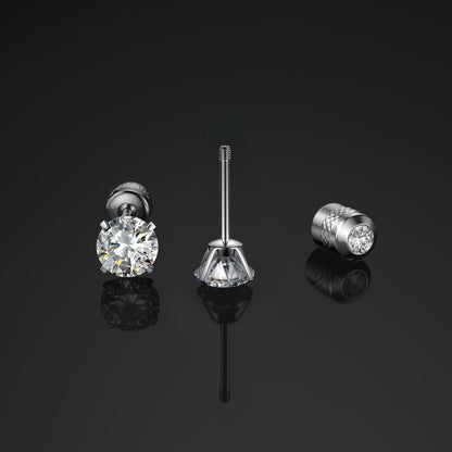 Titanium Screw Back Earrings