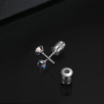 Titanium Screw Back Earrings