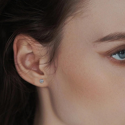 Titanium Screw Back Earrings