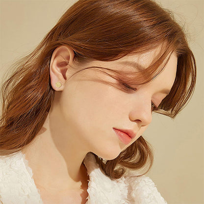 12 Pairs Stainless Steel Stud Earrings