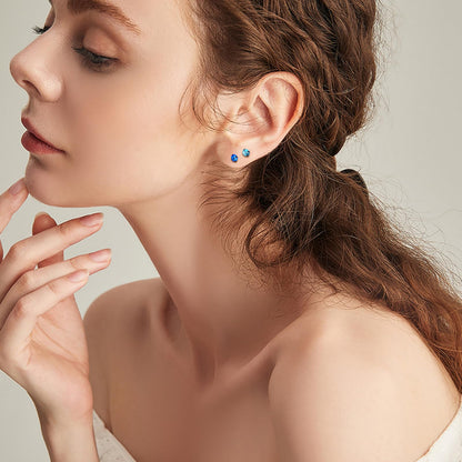 12 Pairs Stainless Steel Stud Earrings